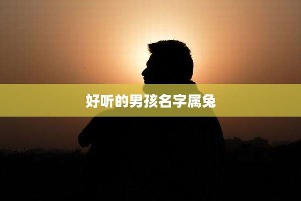 好听的男孩名字属兔