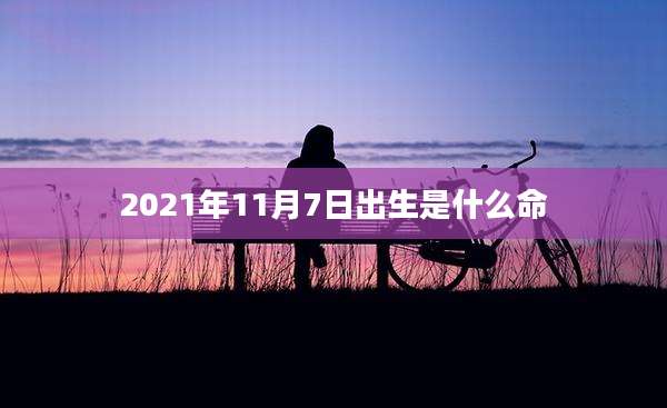 2021年11月7日出生是什么命