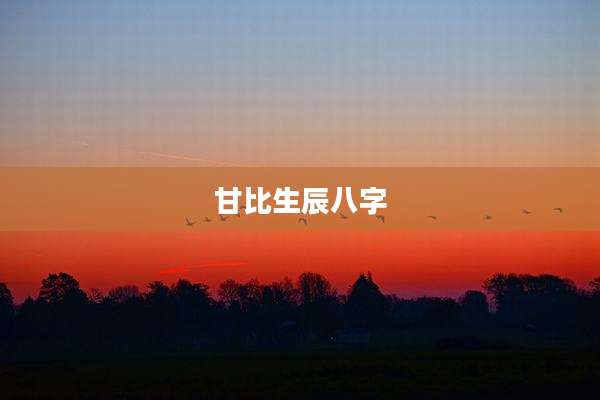 甘比生辰八字