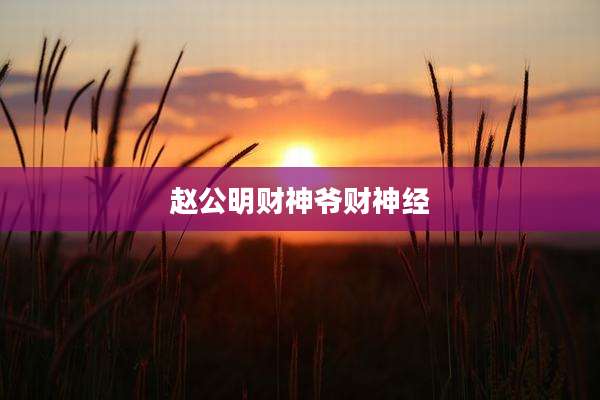 赵公明财神爷财神经