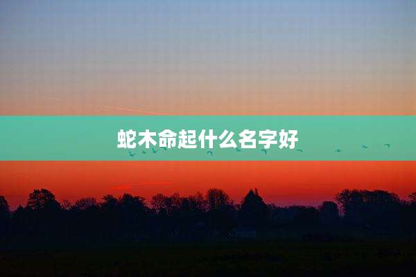 蛇木命起什么名字好