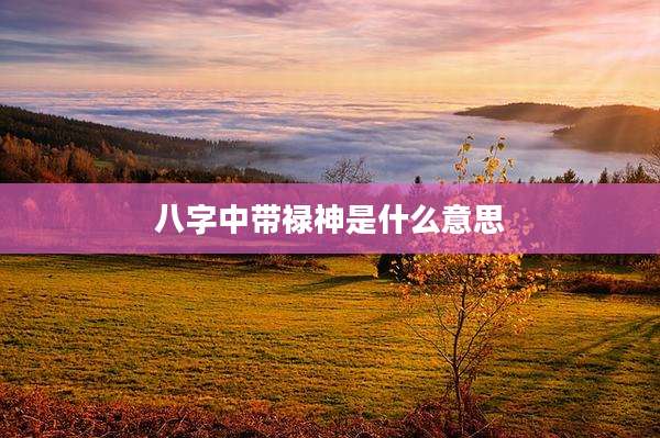 八字中带禄神是什么意思