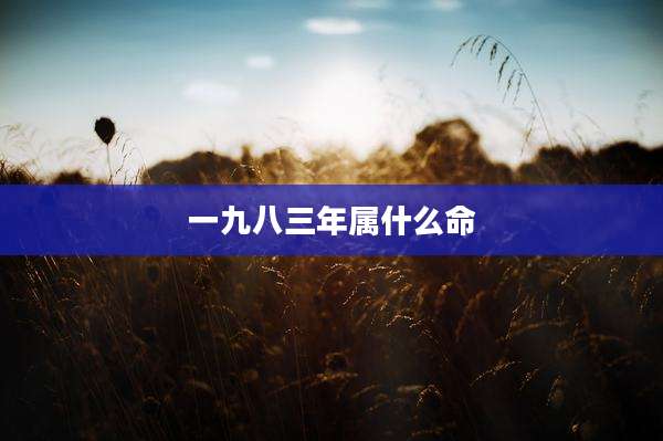 一九八三年属什么命