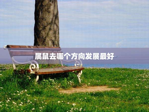 属鼠去哪个方向发展最好