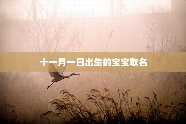 十一月一日出生的宝宝取名