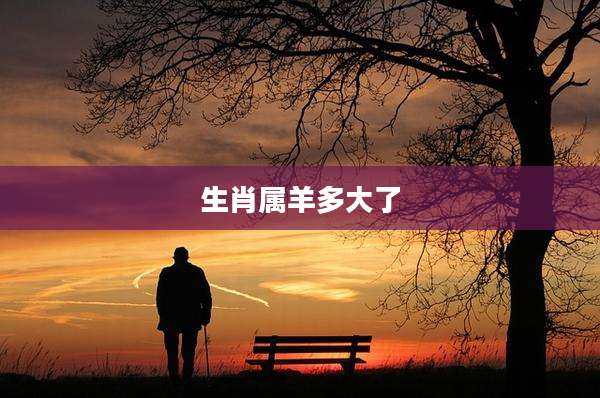 生肖属羊多大了