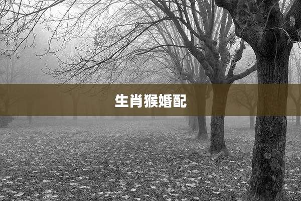 生肖猴婚配