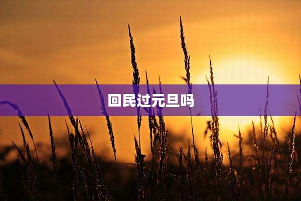 回民过元旦吗