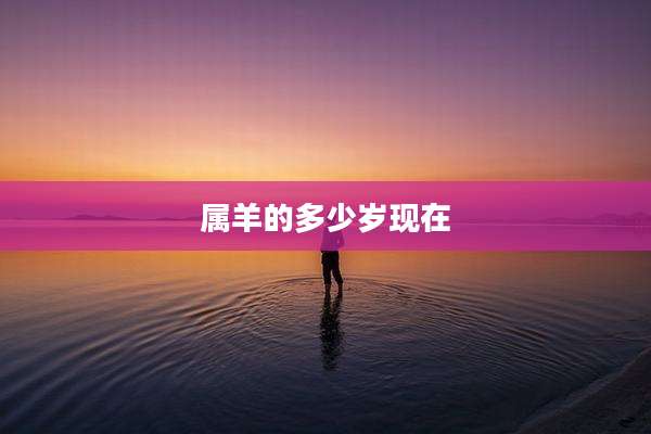 属羊的多少岁现在