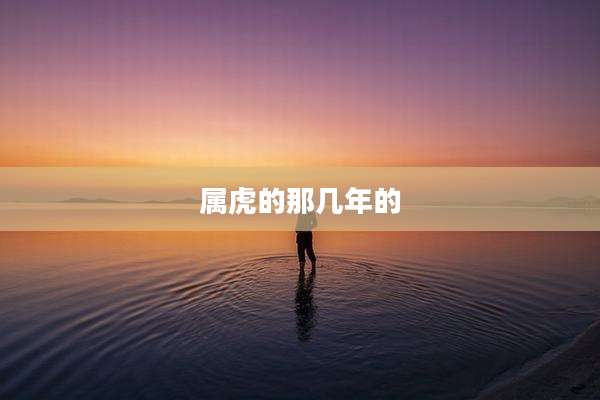 属虎的那几年的