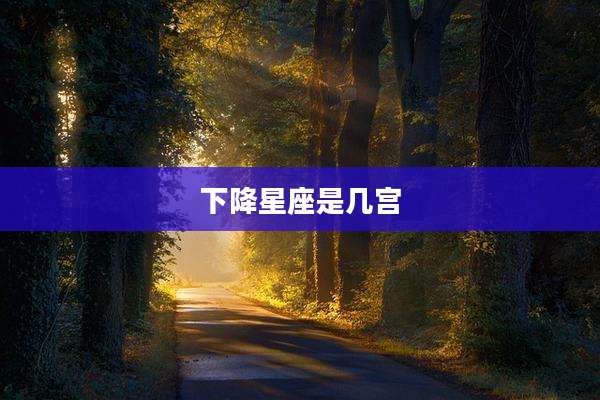 下降星座是几宫
