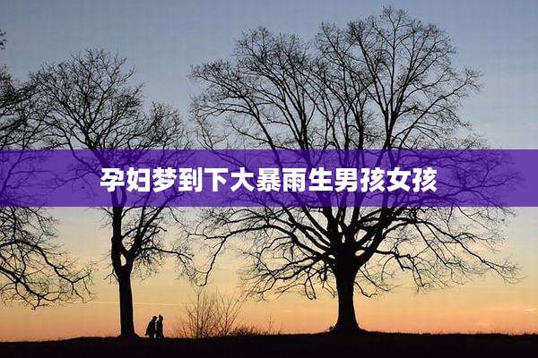 孕妇梦到下大暴雨生男孩女孩