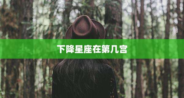 下降星座在第几宫