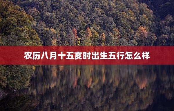 农历八月十五亥时出生五行怎么样