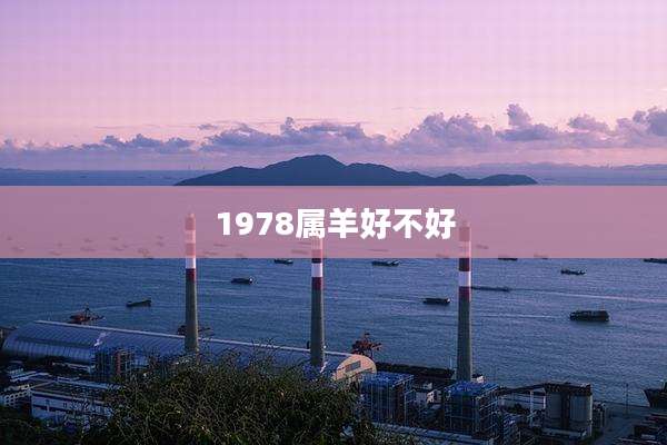 1978属羊好不好