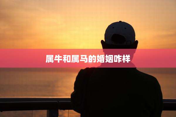 属牛和属马的婚姻咋样