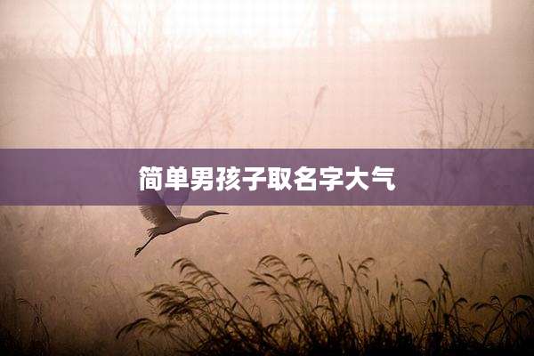 简单男孩子取名字大气