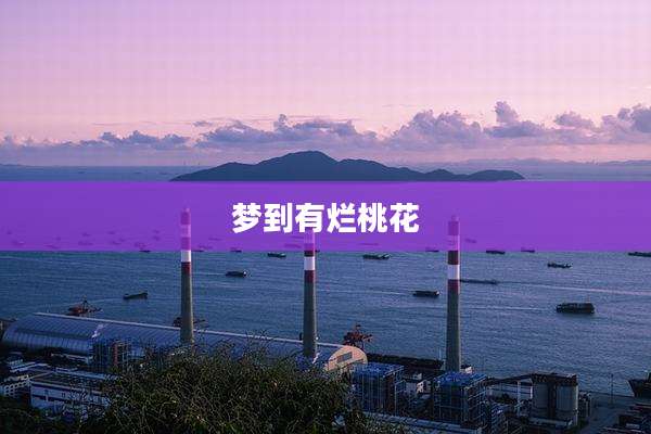 梦到有烂桃花