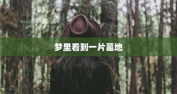 梦里看到一片墓地