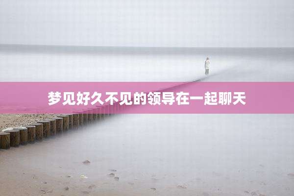 梦见好久不见的领导在一起聊天