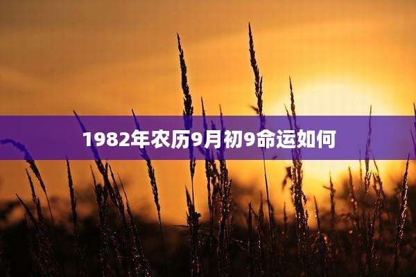 1982年农历9月初9命运如何