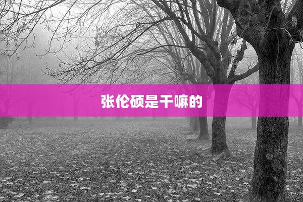 张伦硕是干嘛的