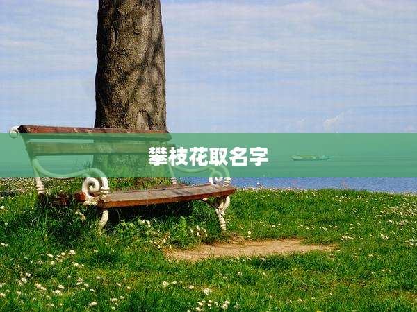 攀枝花取名字