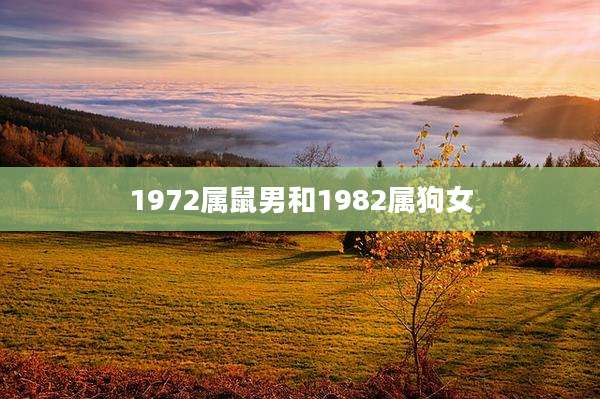 1972属鼠男和1982属狗女
