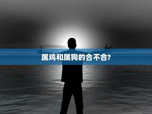 属鸡和属狗的合不合?