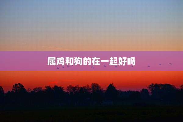 属鸡和狗的在一起好吗