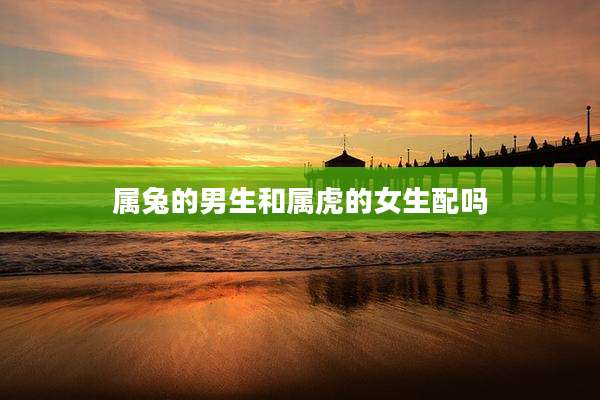 属兔的男生和属虎的女生配吗