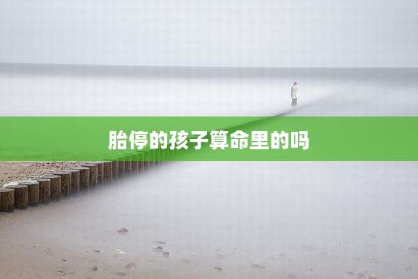 胎停的孩子算命里的吗