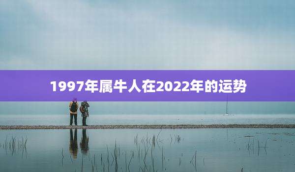 1997年属牛人在2022年的运势