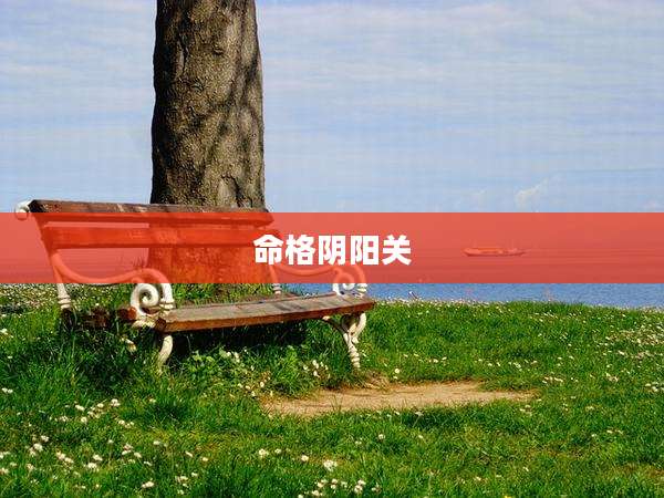 命格阴阳关