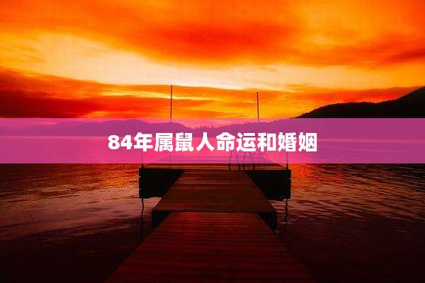 84年属鼠人命运和婚姻