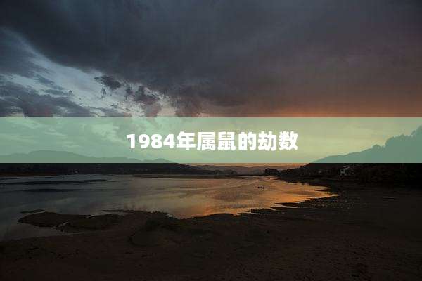 1984年属鼠的劫数