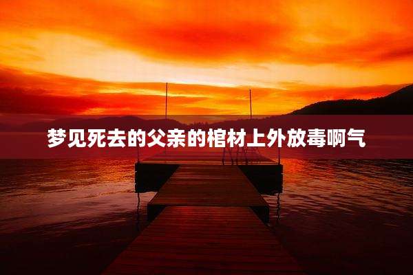 梦见死去的父亲的棺材上外放毒啊气