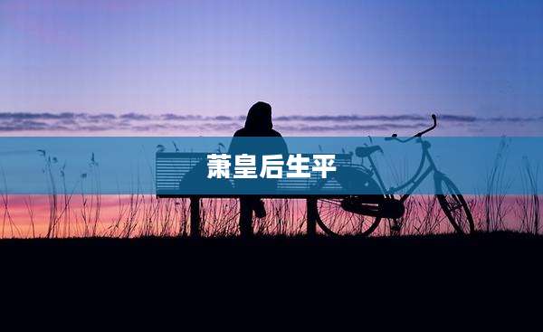 萧皇后生平