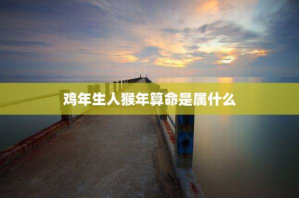 鸡年生人猴年算命是属什么
