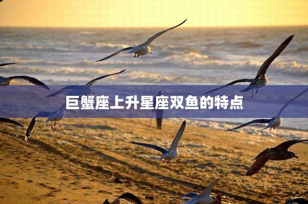巨蟹座上升星座双鱼的特点