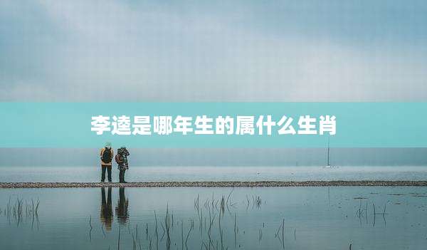 李逵是哪年生的属什么生肖
