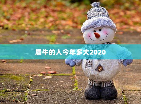 属牛的人今年多大2020