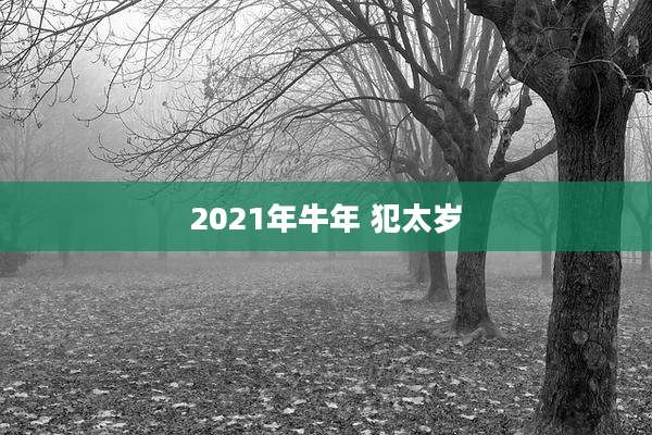 2021年牛年 犯太岁