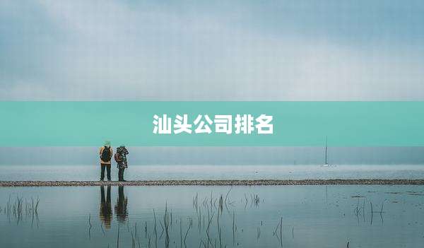 汕头公司排名