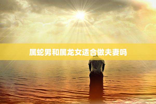 属蛇男和属龙女适合做夫妻吗