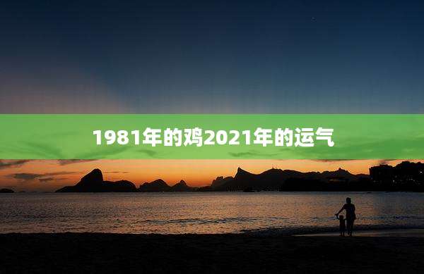 1981年的鸡2021年的运气