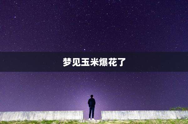 梦见玉米爆花了