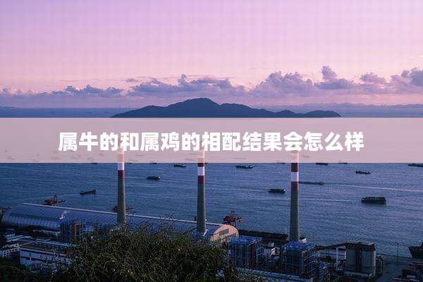 属牛的和属鸡的相配结果会怎么样