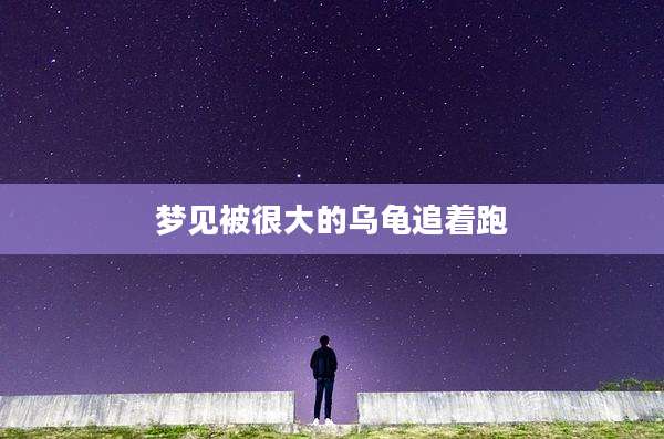 梦见被很大的乌龟追着跑