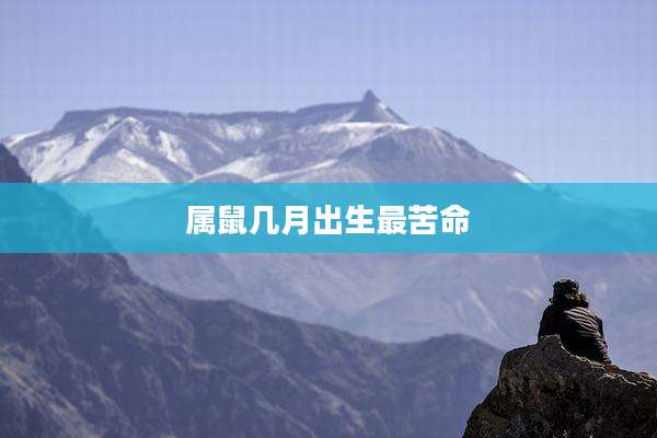 属鼠几月出生最苦命